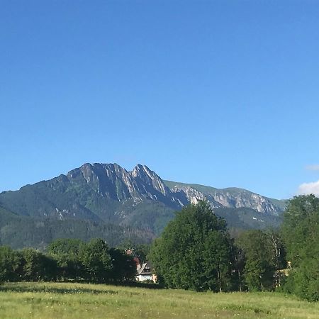 Camping Zakopane Willa Skoczek Oferta Nie Dotyczy Noclegu W Pokoju ,W Namiocie Reczniki Woda Mineralna , Koldra Poduszki Lub Spiwory Exteriér fotografie