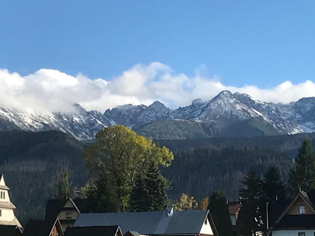 Camping Zakopane Willa Skoczek Oferta Nie Dotyczy Noclegu W Pokoju ,W Namiocie Reczniki Woda Mineralna , Koldra Poduszki Lub Spiwory Exteriér fotografie