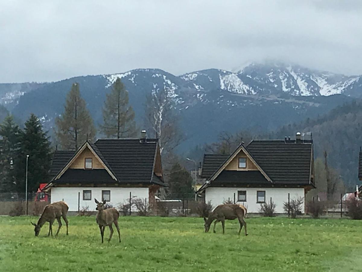 Camping Zakopane Willa Skoczek Oferta Nie Dotyczy Noclegu W Pokoju ,W Namiocie Reczniki Woda Mineralna , Koldra Poduszki Lub Spiwory Exteriér fotografie