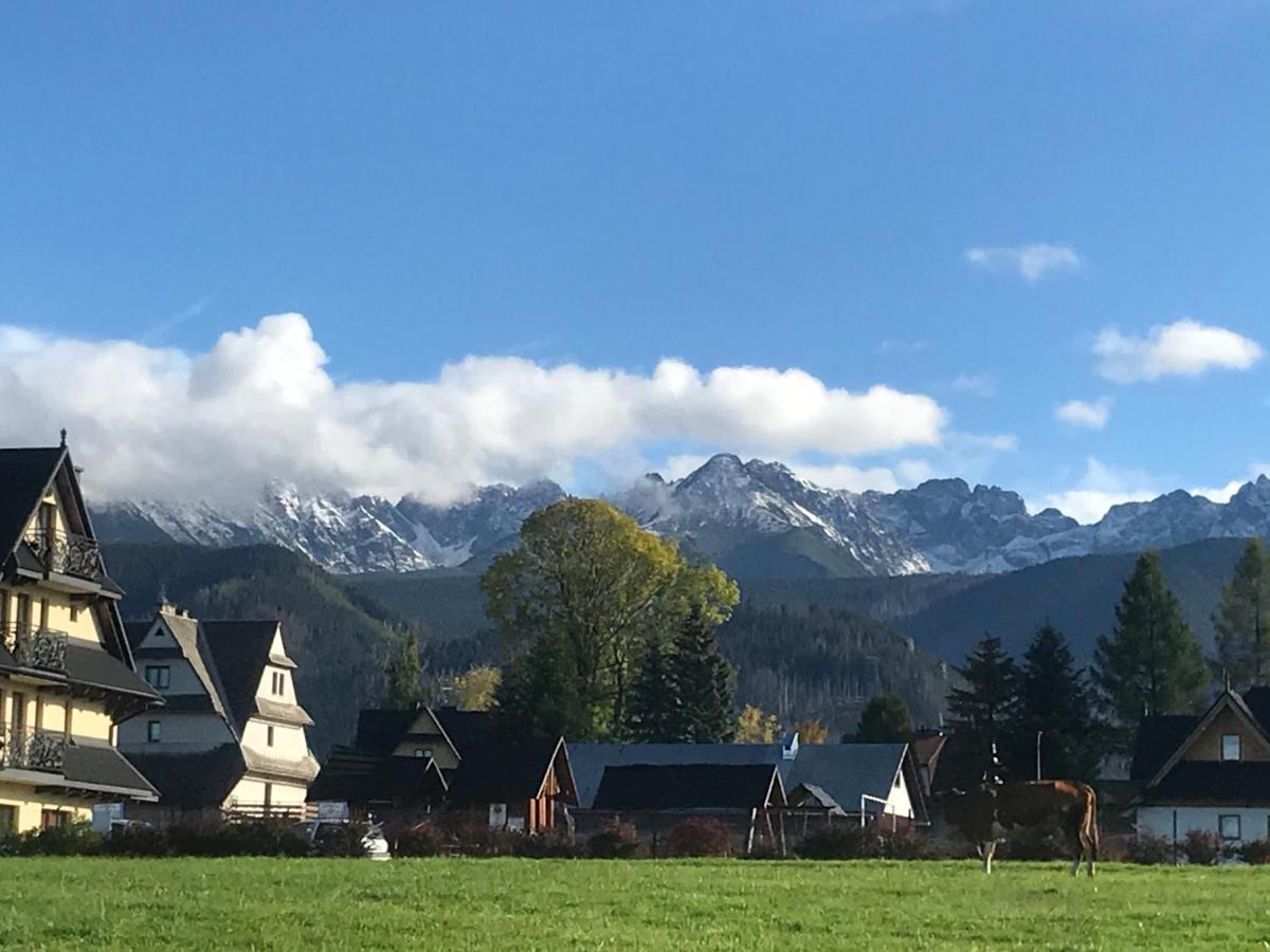 Camping Zakopane Willa Skoczek Oferta Nie Dotyczy Noclegu W Pokoju ,W Namiocie Reczniki Woda Mineralna , Koldra Poduszki Lub Spiwory Exteriér fotografie