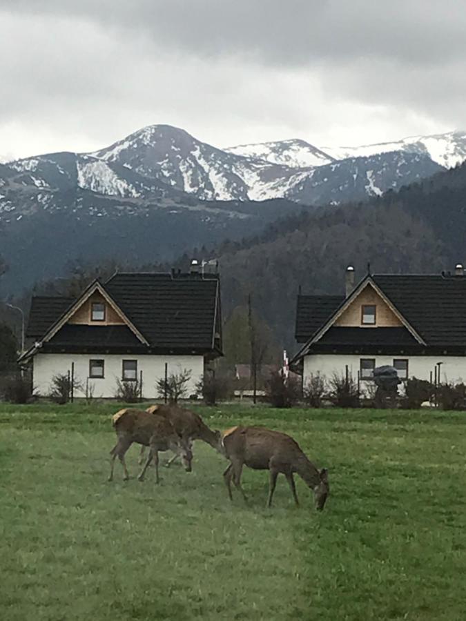 Camping Zakopane Willa Skoczek Oferta Nie Dotyczy Noclegu W Pokoju ,W Namiocie Reczniki Woda Mineralna , Koldra Poduszki Lub Spiwory Exteriér fotografie
