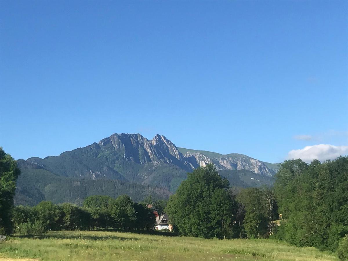 Camping Zakopane Willa Skoczek Oferta Nie Dotyczy Noclegu W Pokoju ,W Namiocie Reczniki Woda Mineralna , Koldra Poduszki Lub Spiwory Exteriér fotografie