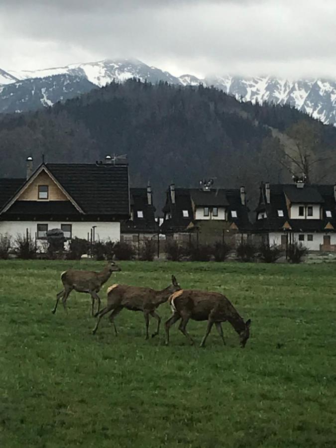 Camping Zakopane Willa Skoczek Oferta Nie Dotyczy Noclegu W Pokoju ,W Namiocie Reczniki Woda Mineralna , Koldra Poduszki Lub Spiwory Exteriér fotografie