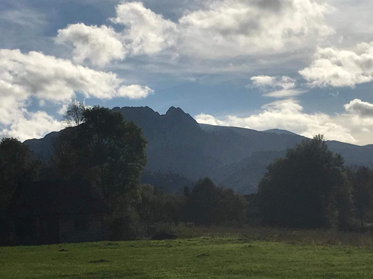Camping Zakopane Willa Skoczek Oferta Nie Dotyczy Noclegu W Pokoju ,W Namiocie Reczniki Woda Mineralna , Koldra Poduszki Lub Spiwory Exteriér fotografie